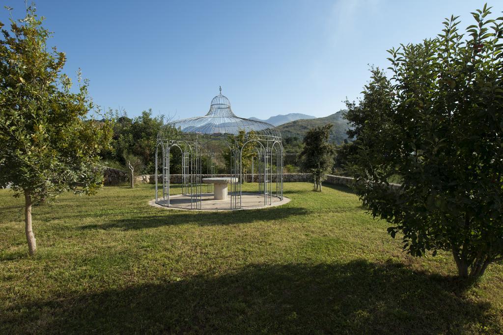 Collina Degli Ulivi B&B Itri Buitenkant foto